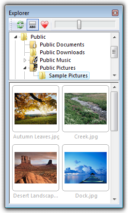 File Explorer Window